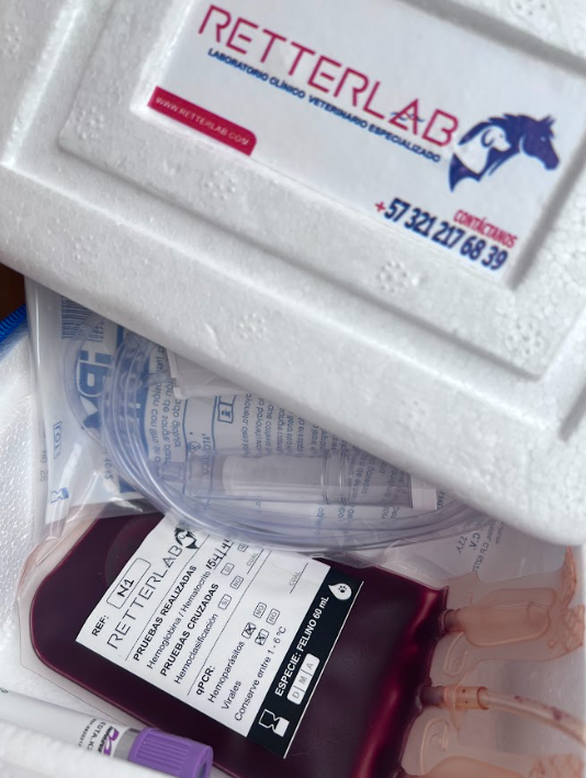 Procedimiento del banco de sangre veterinario